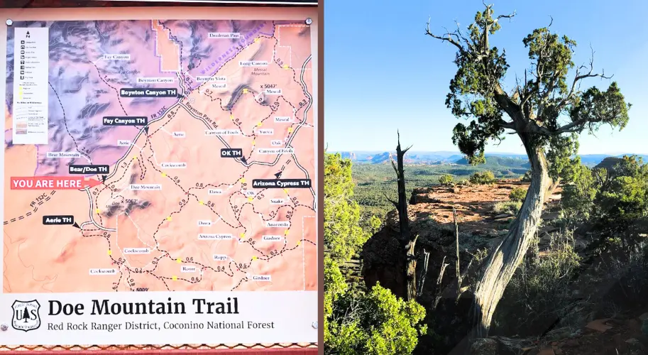 Doe Mountain Trail Arizona