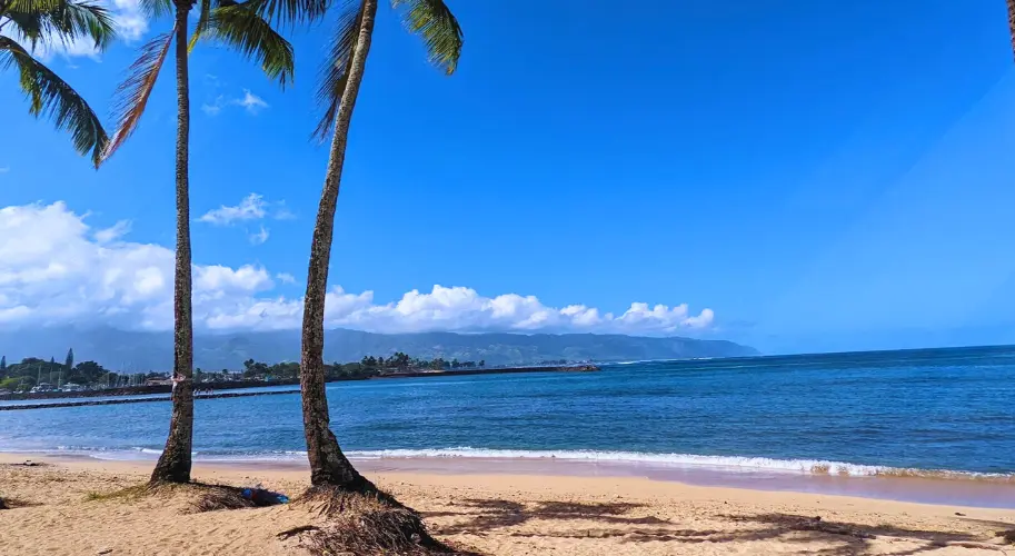 Haleiwa Beach Park