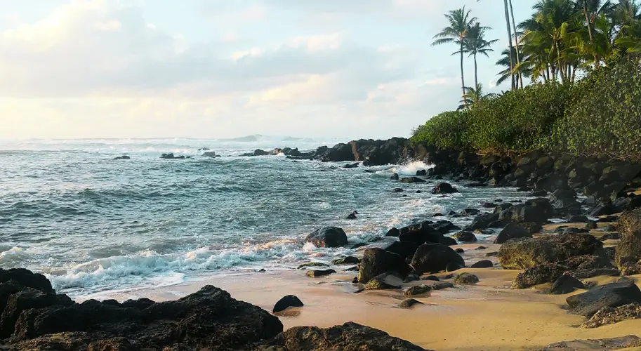 Laniakea Beach