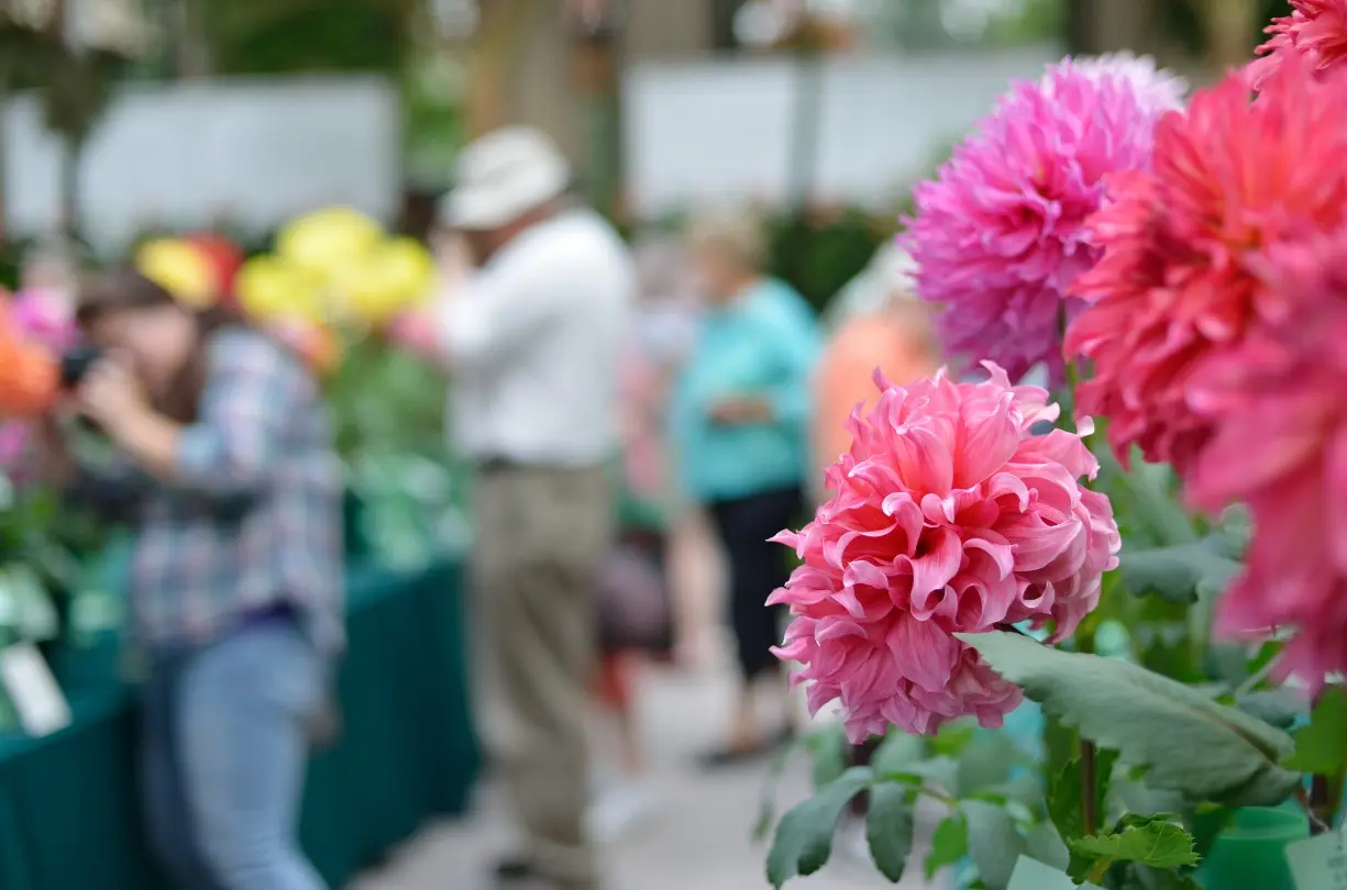 Macy’s Flower Show