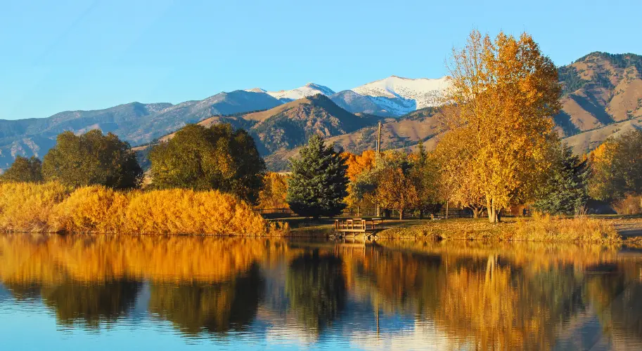 Montana in Spring