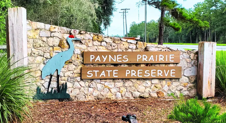 Paynes Prairie Preserve State Park