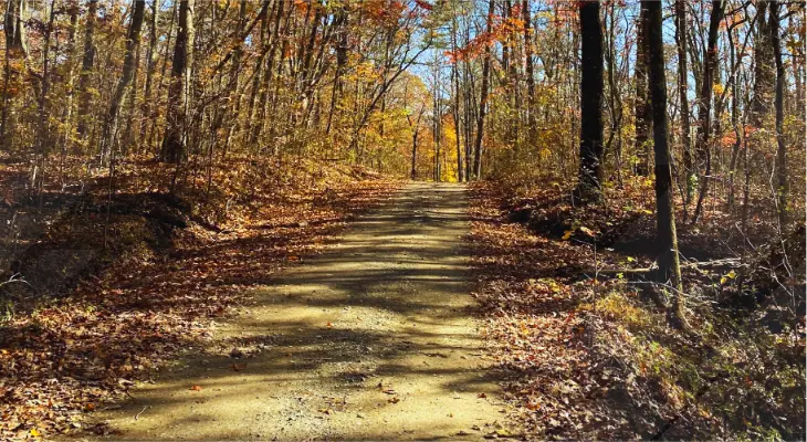 Snoopers Rock Trail