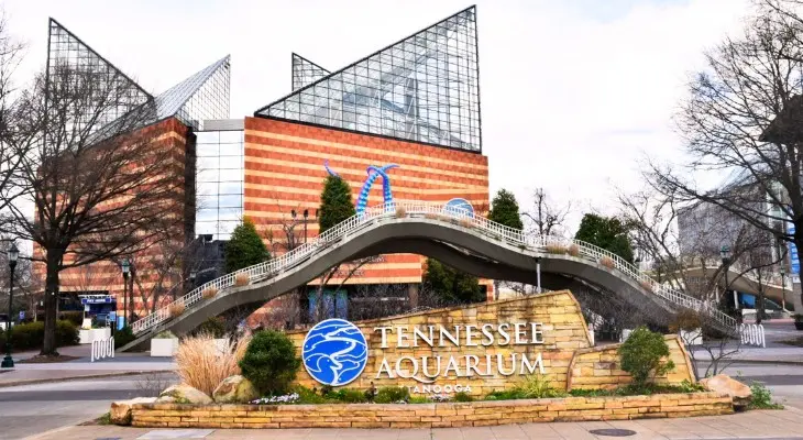 Tennessee Aquarium