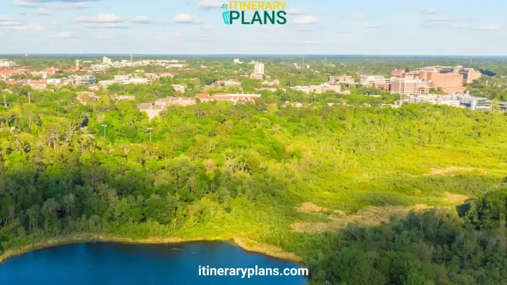 Things to do in Gainesville FL