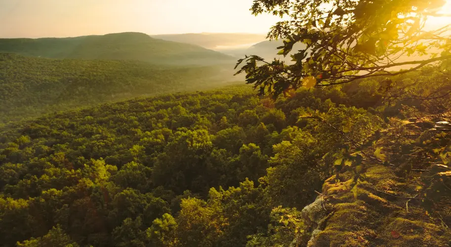 Trails in the Ozarks