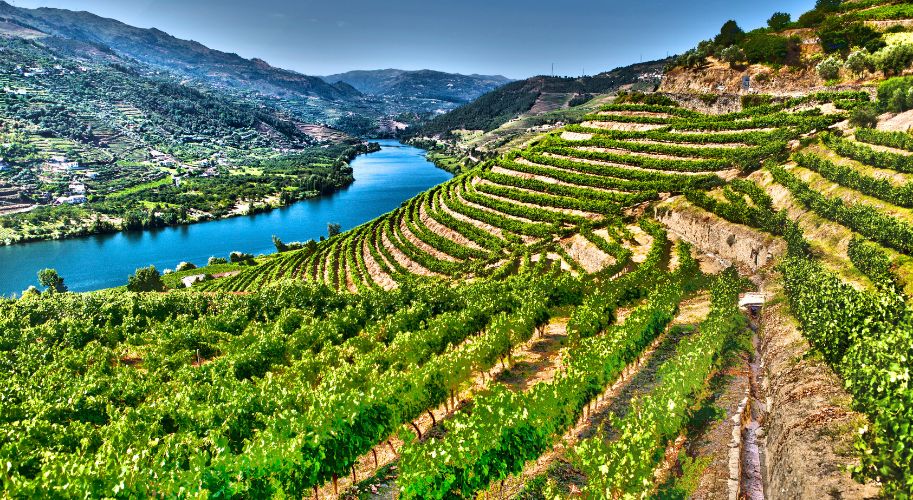 Douro Valley