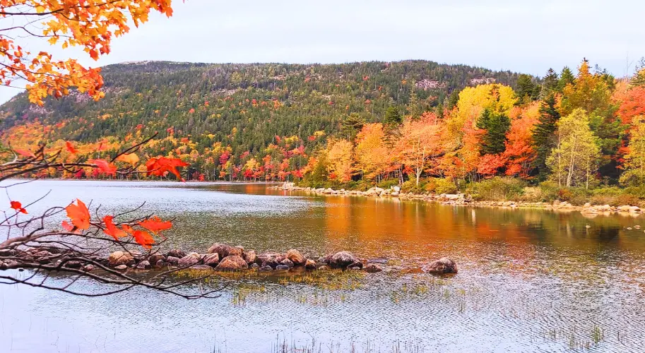 Acadia National Park Fall