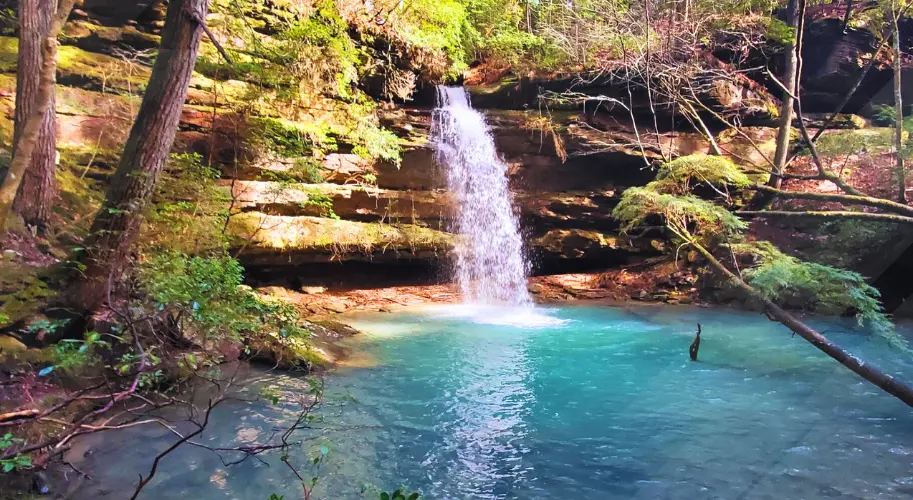 Bankhead National Forest