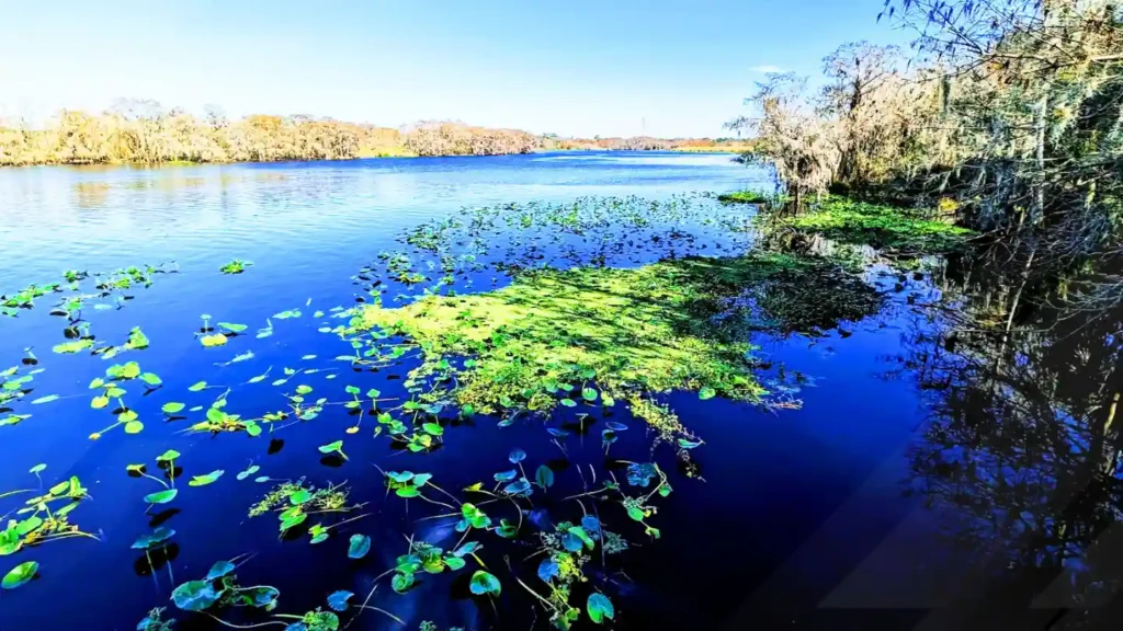 Black Bear Wilderness Area