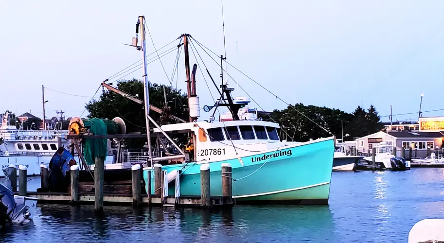 Hyannis Harbor