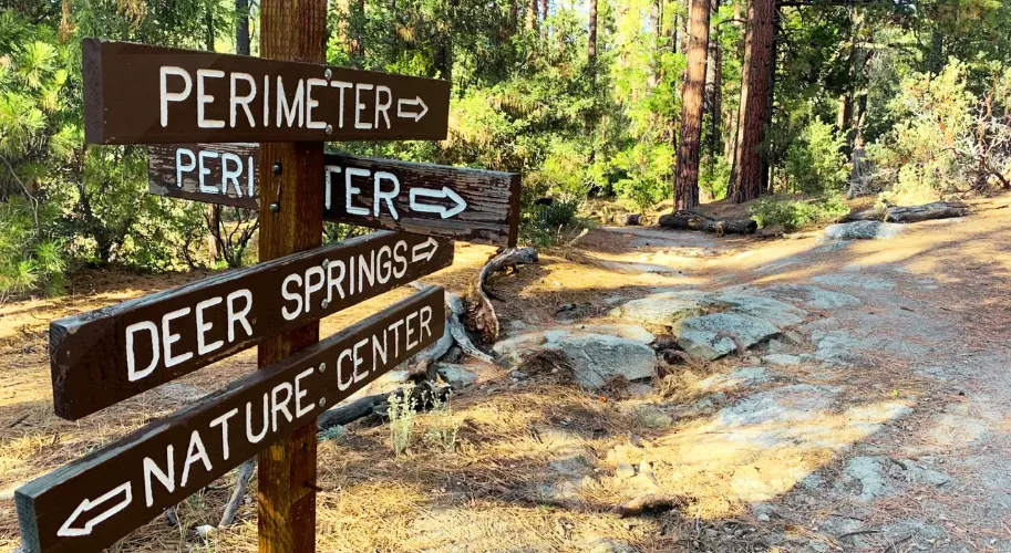 Idyllic Idyllwild Nature Center