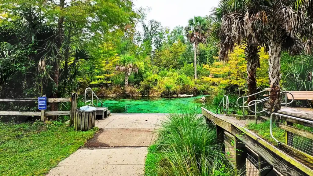 Pitt and Sylvan Springs