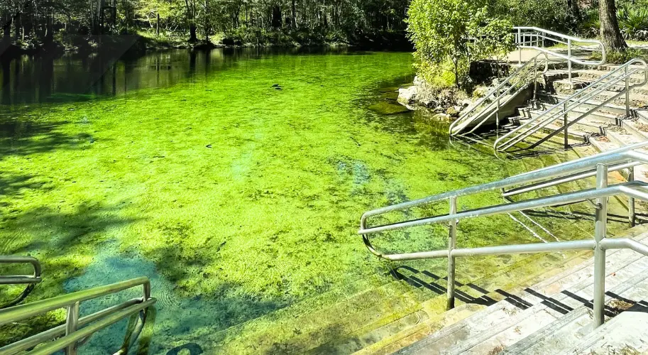 Poe Springs Park swimming