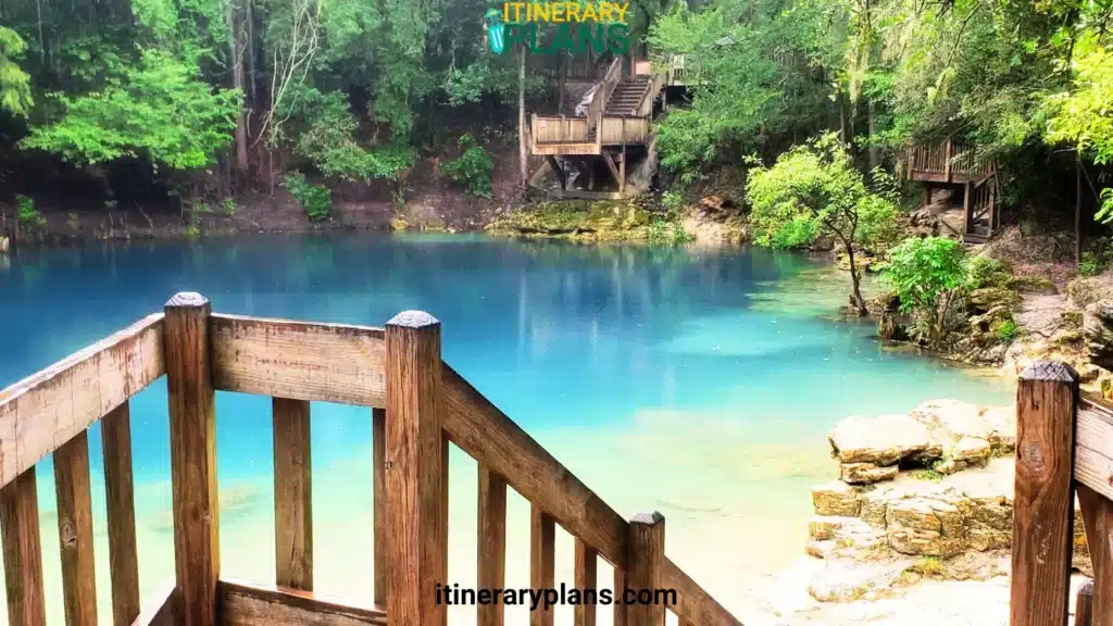 Royal Springs Florida