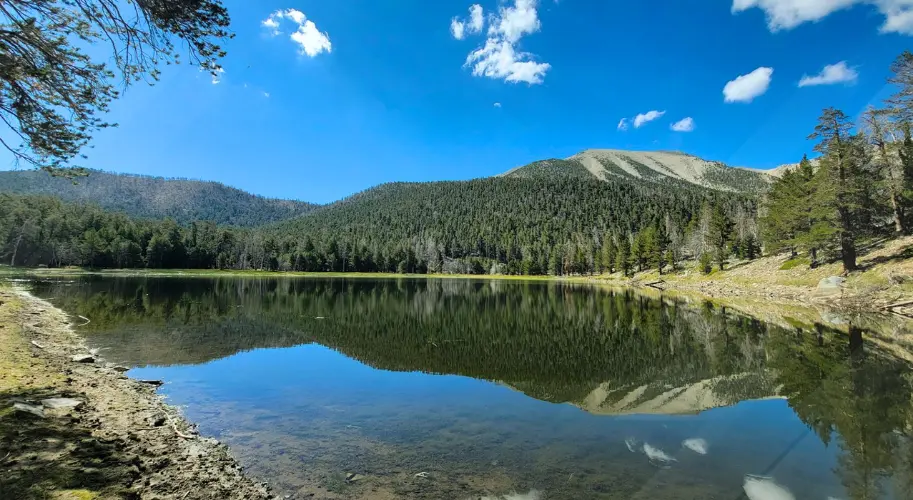 San Bernardino National Forest