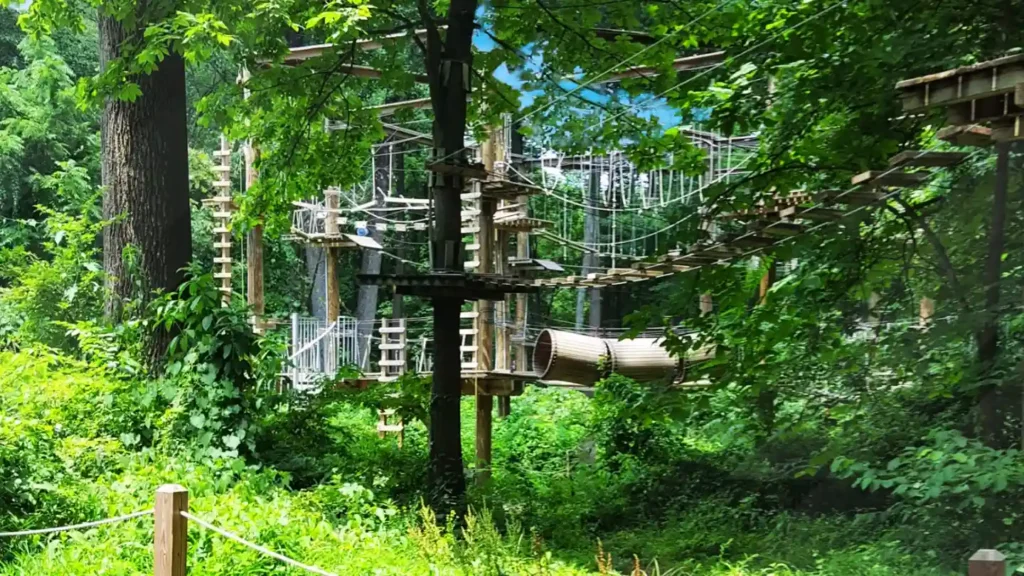 The adventure park at Sandy Spring