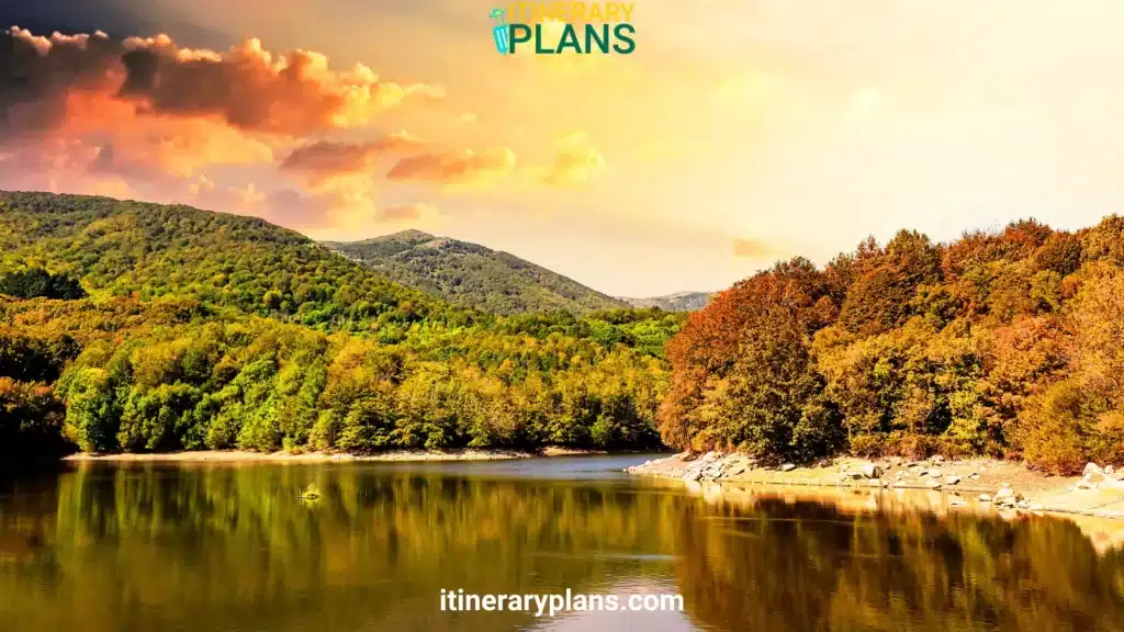 Things to do in Idyllwild