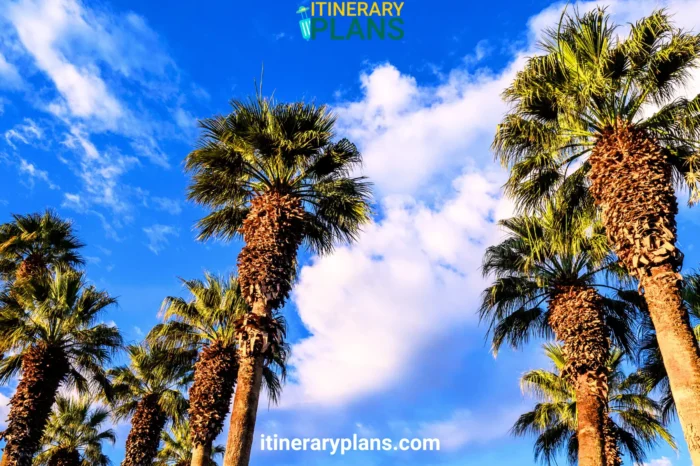 Top 10 Things to Do in Palm Desert: A Perfect Getaway