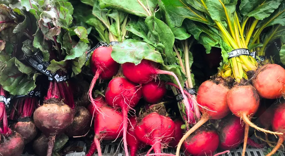 Waco Downtown Farmer's Market