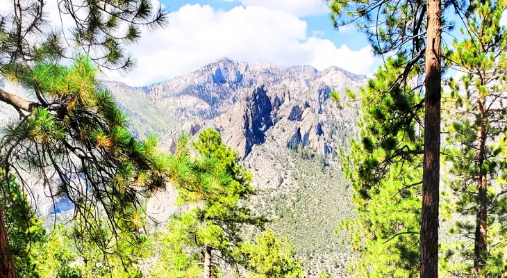 Mount Charleston