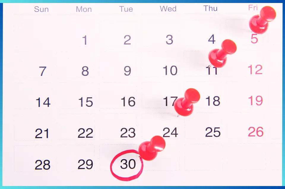 Day by Day Plan