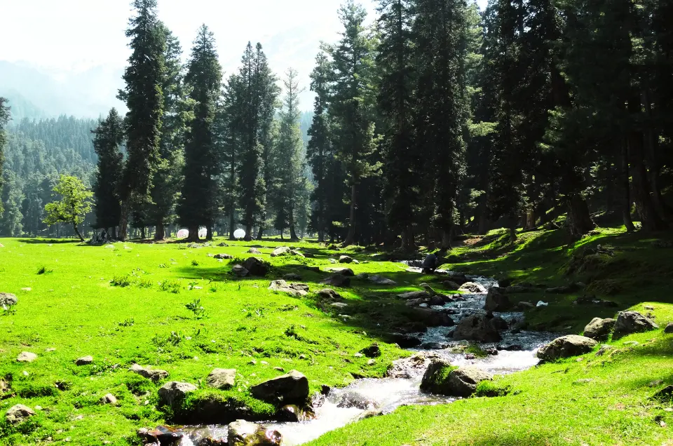 Jammu and Kashmir