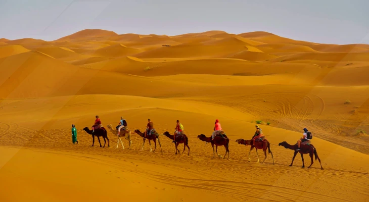 Sahara Desert