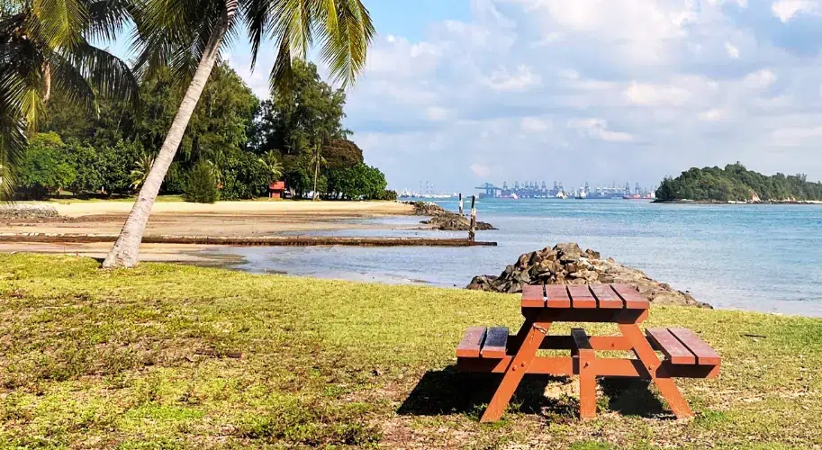 Discover Lazarus Island