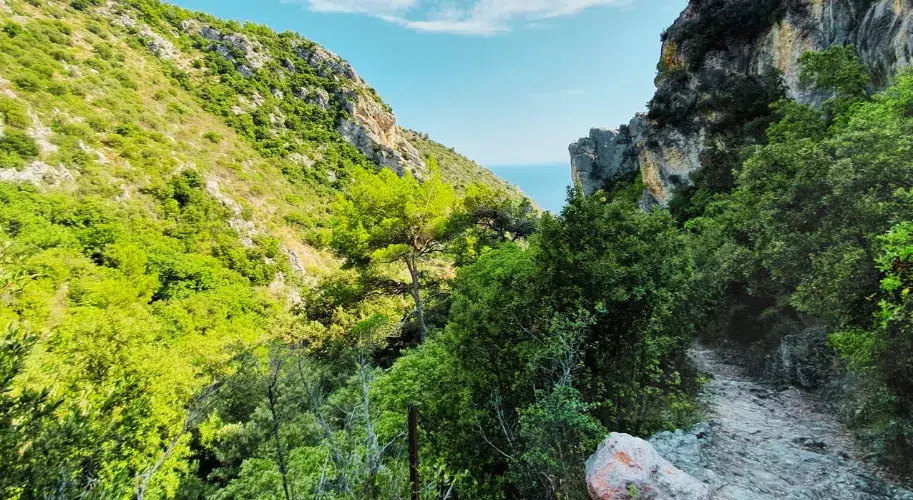 Nietzsche Path