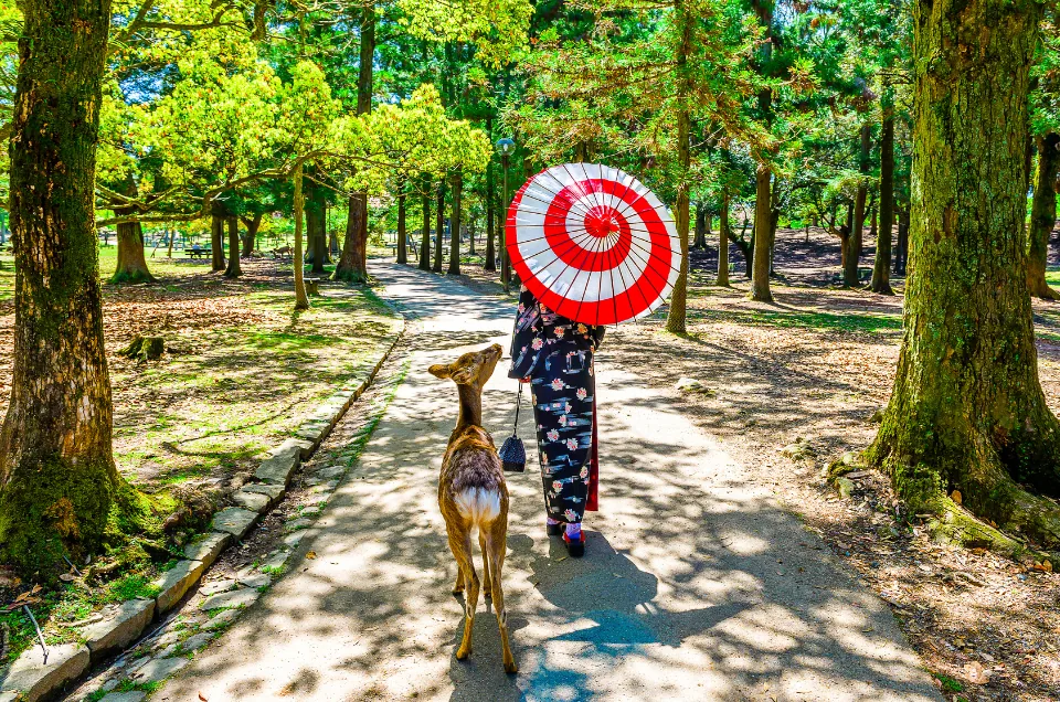 Nara, Japan