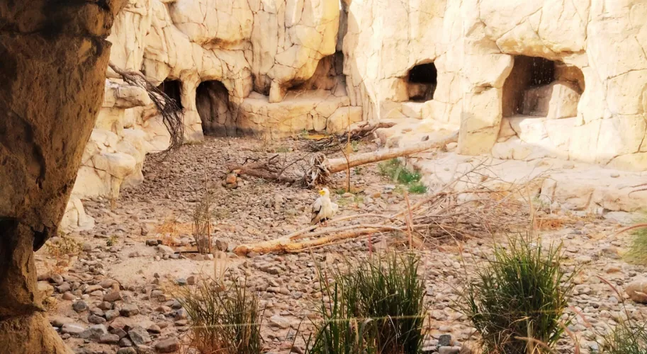 Sharjah Desert Park UAE