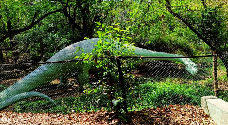 Allen Forest Zoo, India