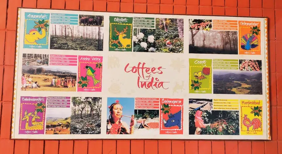 Coffee Museum