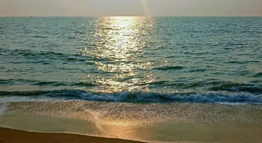 Golden Shoreline of Vakkad Beach