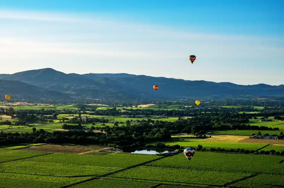 What Not to Miss When Planning a Scenic Escape to Napa Valley