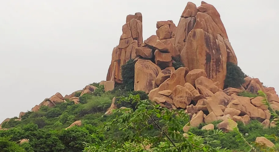 Virupapur Gadde