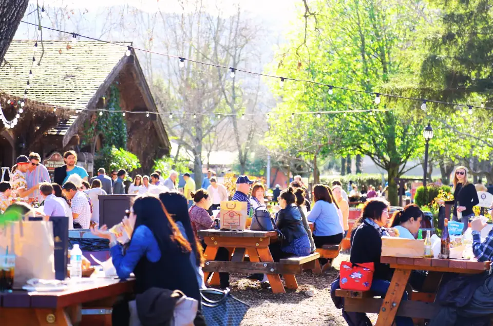 How to Plan a Well-Rounded Trip to Napa Valley Beyond the Vineyards