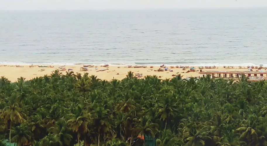 raditional Ayurvedic beach resort near Chowara Beach with coconut palms and sea view