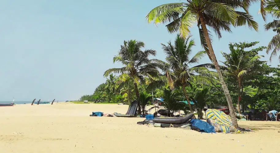 Traditional Kerala homestay near Marari Beach with coconut trees