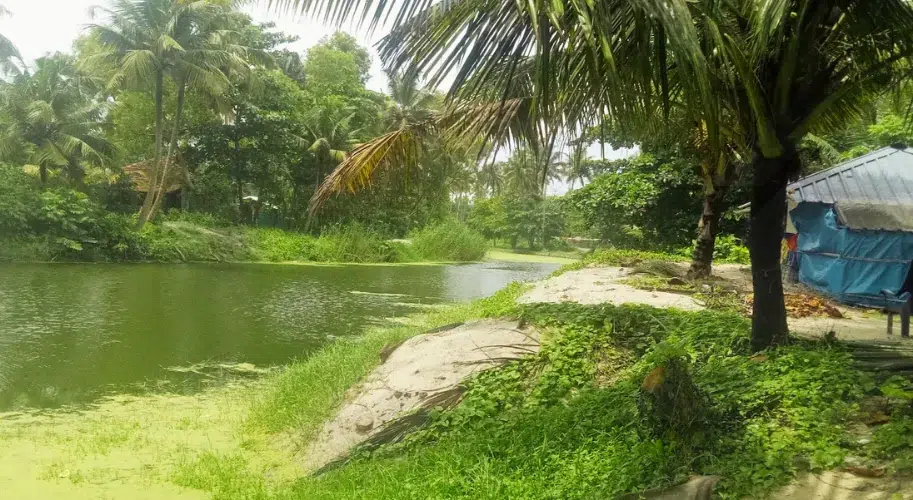 Local fishermen and coir-making in Marari Beach village Kerala