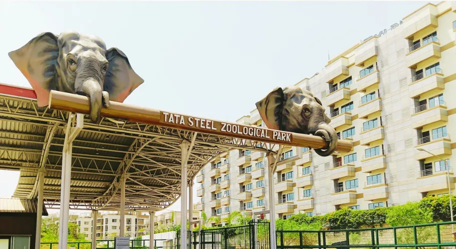 Families enjoying a day at Tata Steel Zoological Park Jamshedpur