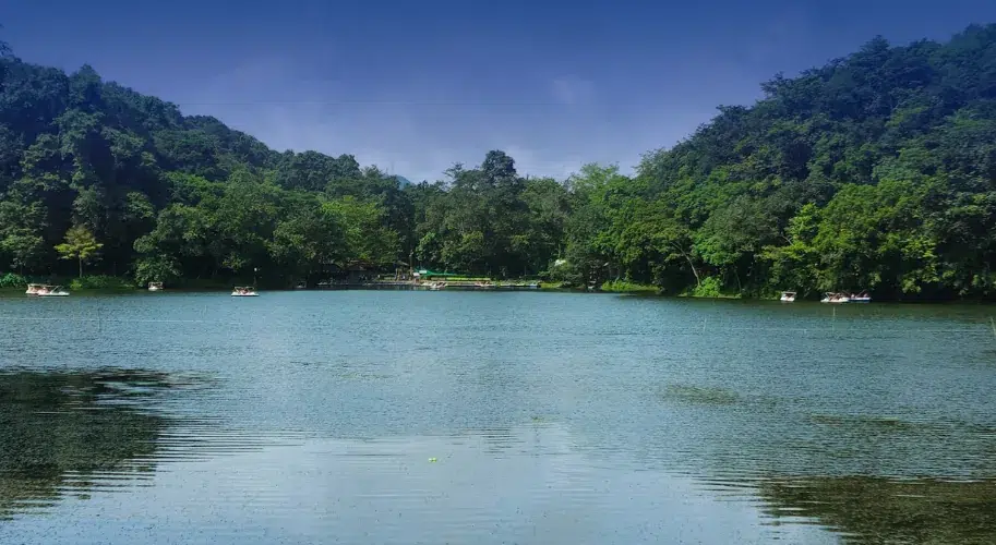 Pookode Lake