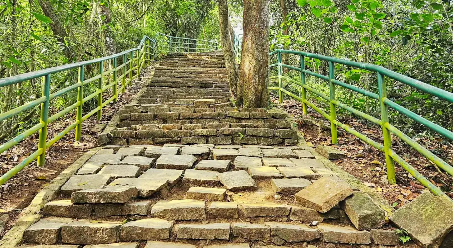 Soochipara Waterfall Trekking Adventures