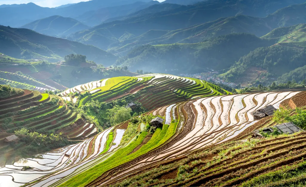 Misty rice terraces in Sapa, northern Vietnam during heavy summer rain and fog.