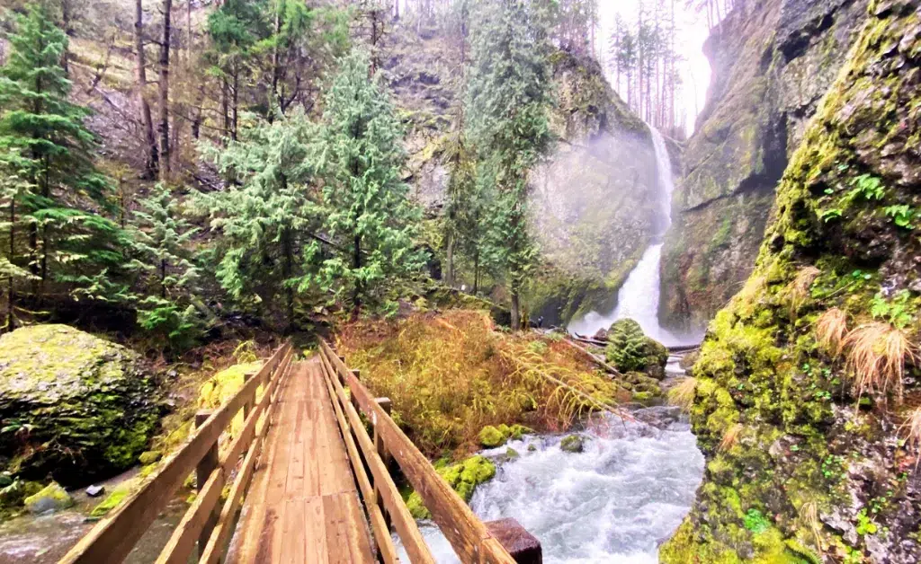 Wahclella Falls Trail