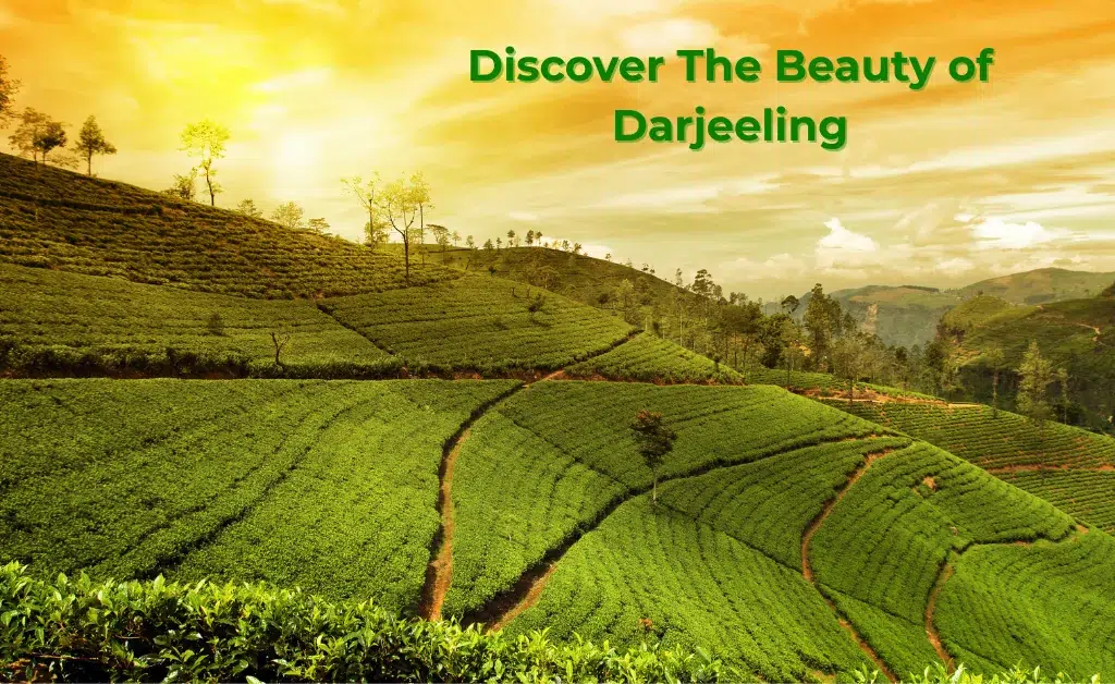 Darjeeling, West Bengal, India