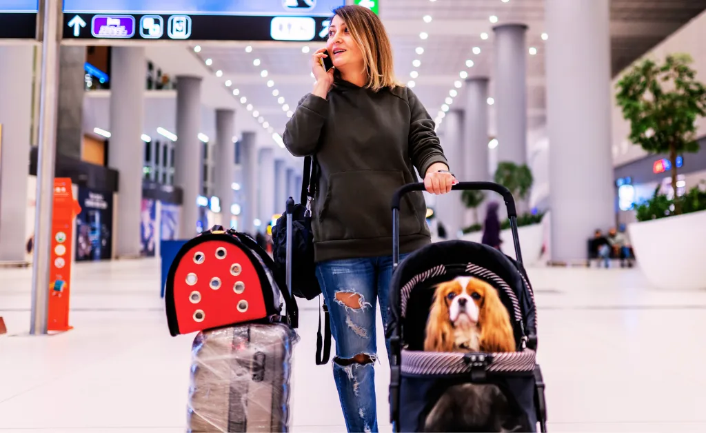 TSA pet travel rules at airport security with dog