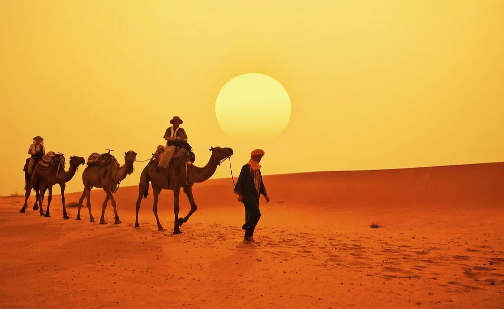 A caravan of camels led by a person walks across a vast desert under a large, setting sun. The scene conveys tranquility and adventure in an expansive landscape