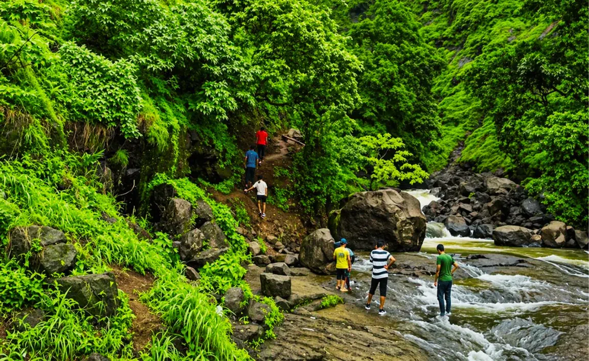 A group of people hike through a lush, green forest beside a gently flowing river. The scene is vibrant and serene, exuding a sense of adventure and tranquility.